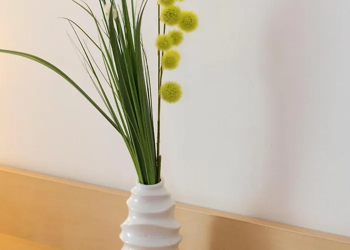 Club بالاتونفوريد